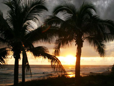 Hotel Casa Viva Troncones Kültér fotó