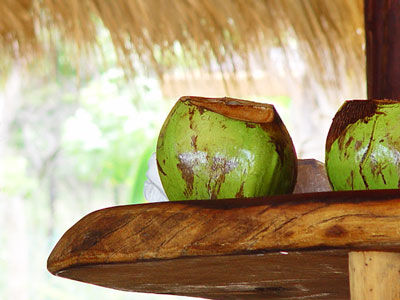 Hotel Casa Viva Troncones Kültér fotó